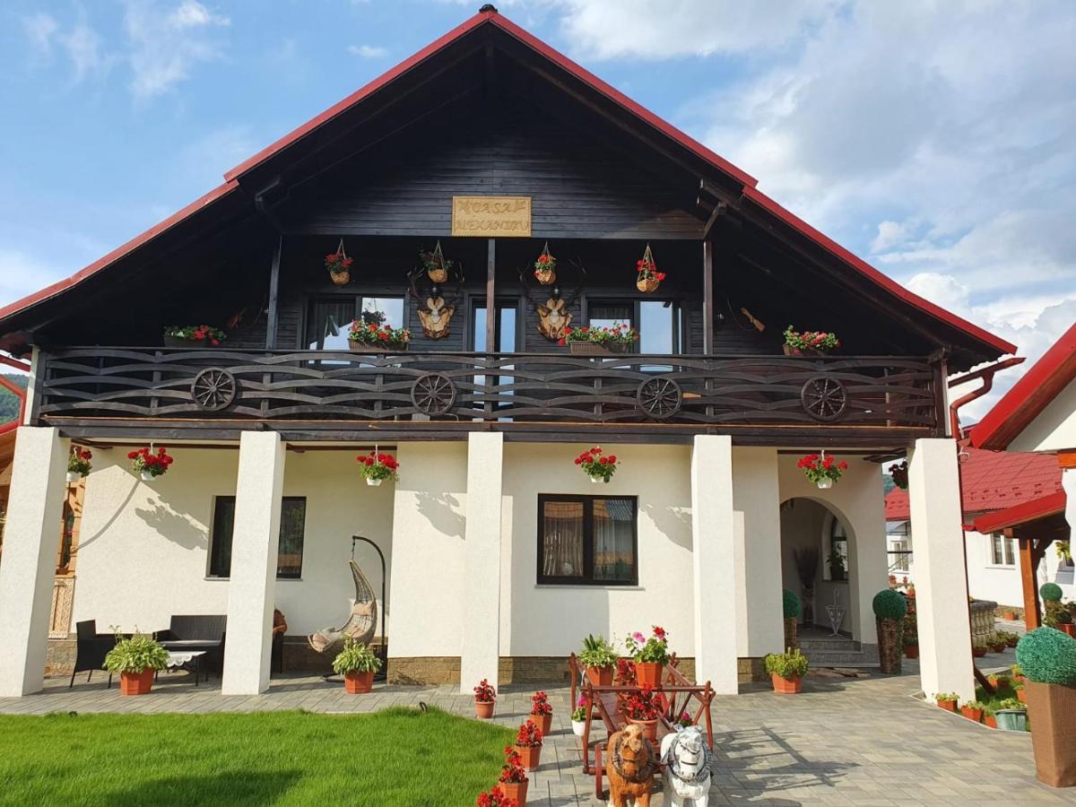 Hotel Casa Alexandru - Locul In Care Te Simti Acasa Viseu de Jos Exterior foto