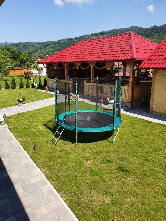 Hotel Casa Alexandru - Locul In Care Te Simti Acasa Viseu de Jos Exterior foto